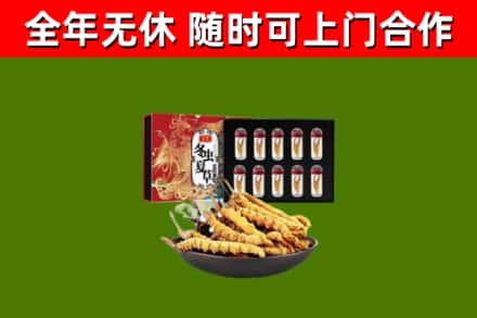 晋宁区回收冬虫夏草价格